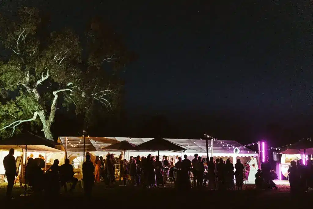 Night party under large tree